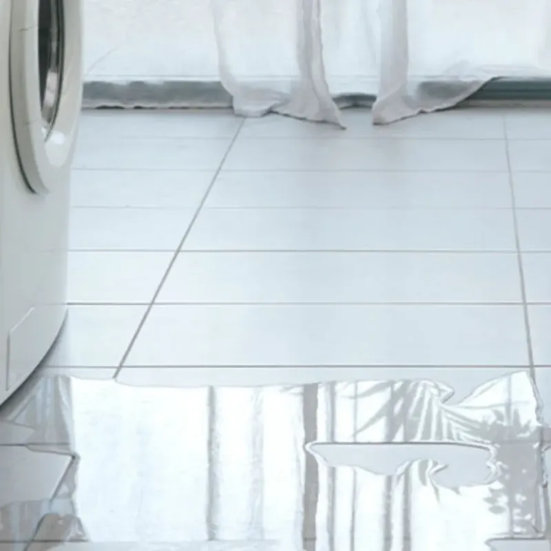 Appliance Leak Cleanup in Woodlawn, OH