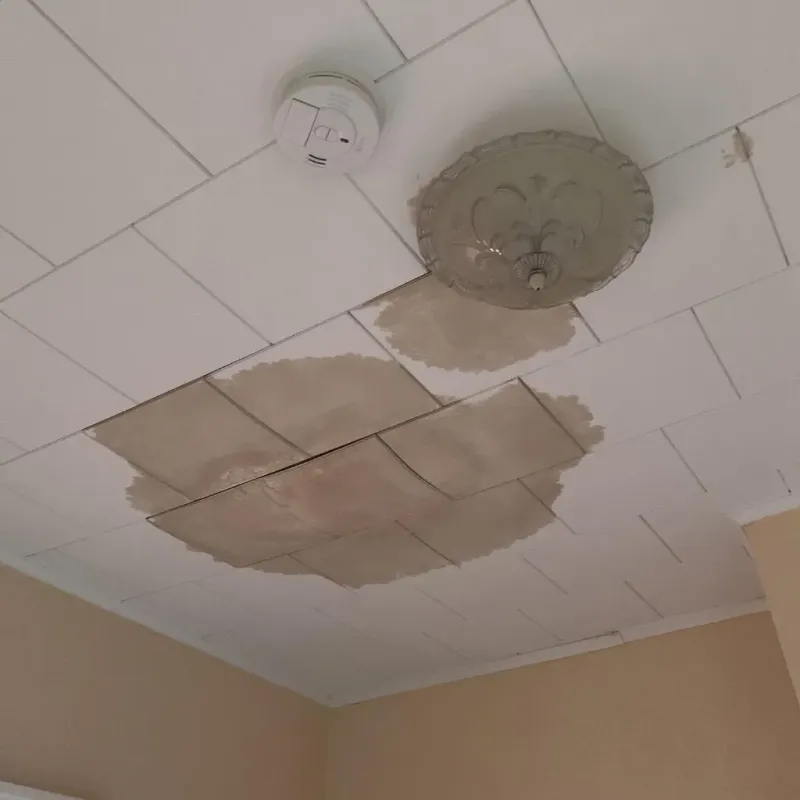 Ceiling Water Damage Repair in Woodlawn, OH