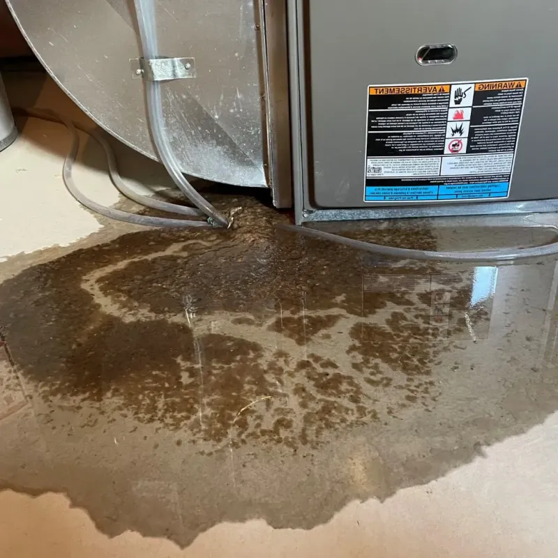 Pipe Burst and Leak Restoration in Woodlawn, OH