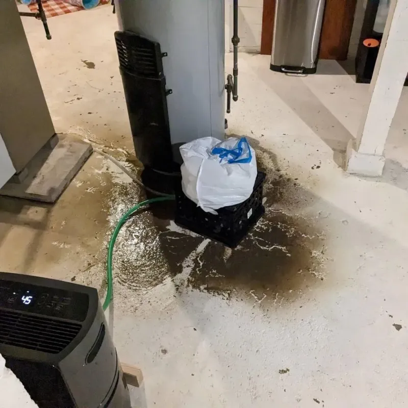 Sewage Backup Cleanup Service in Woodlawn, OH